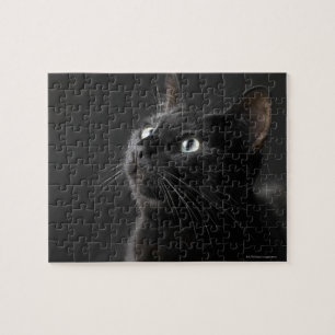 Schwarze Katze gegen schwarzen Hintergrund, Puzzle