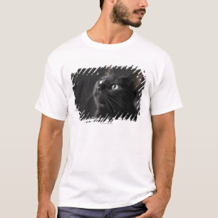 Schwarze Katze gegen schwarzen Hintergrund, T-Shirt