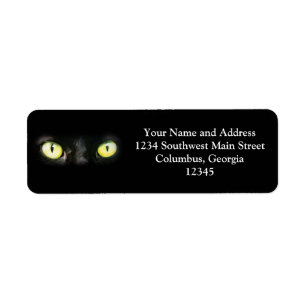 Schwarze Katze, Gelbgrün-Augen, glatt und