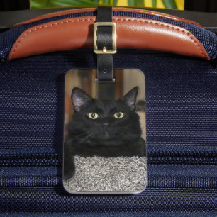 Schwarze Katze Gepäckanhänger