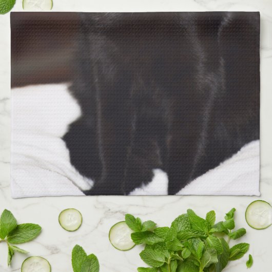 Schwarze Katze Geschirrtuch (Gefaltet)