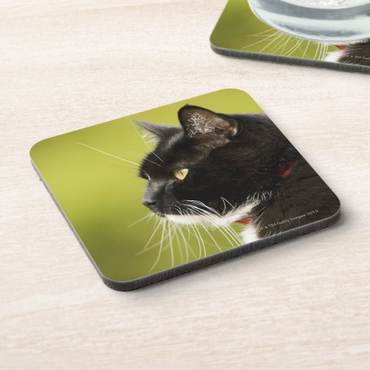 Schwarze Katze Getränkeuntersetzer (Linke Seite)