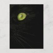 Schwarze Katze, grünes Auge Postkarte (Vorderseite)