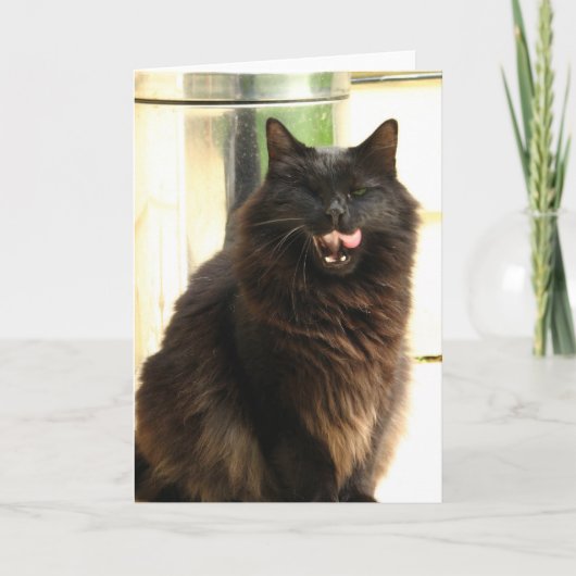 Schwarze Katze Halloweens mit einem Auge Karte (Vorderseite)