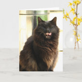 Schwarze Katze Halloweens mit einem Auge Karte (Gelbe Blume)