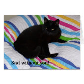 Schwarze Katze im Bett (Vorderseite (Horizontal))