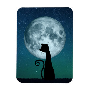 Schwarze Katze im flexiblen Magnet des Mondlichts