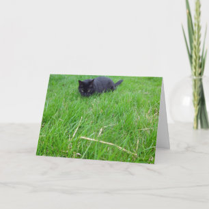 Schwarze Katze im Gras Geburtstagskarte Karte