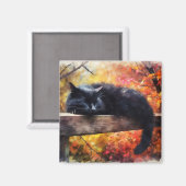 Schwarze Katze im Herbst schlafen Magnet (Vorderseite/Rückseite)