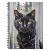Schwarze Katze im Nassfenster Notizblock (Vorderseite)