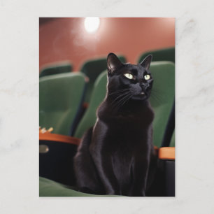 Schwarze Katze im Theater Postkarte