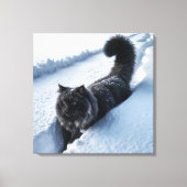 Schwarze Katze im tiefen Schnee Leinwanddruck (Vorderseite)