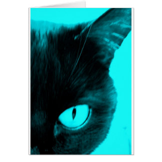 Schwarze Katze in Blau