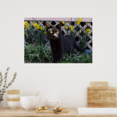 Schwarze Katze in der Hülle der Götter Poster (Küche)