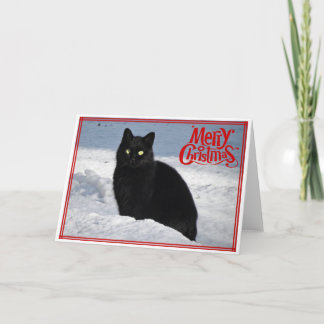 Schwarze Katze in der Schnee Weihnachtskarte Feiertagskarte