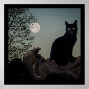 Schwarze Katze in einem Baum vor Vollmond Poster