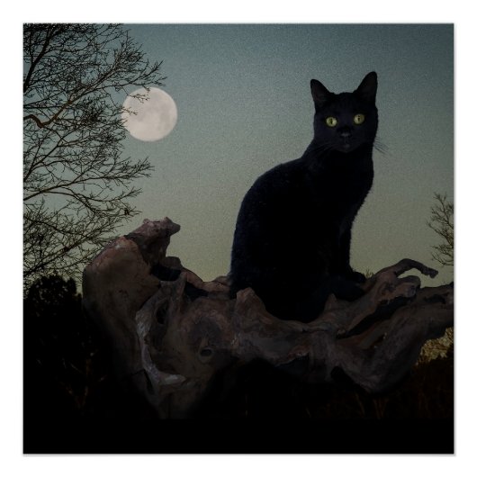 Schwarze Katze in einem Baum vor Vollmond Poster (Vorderseite)