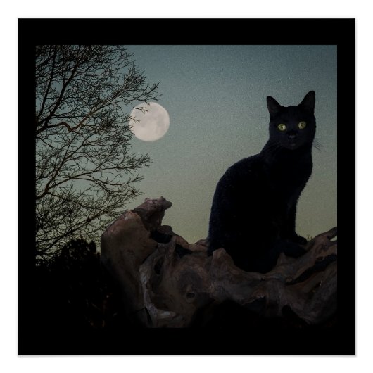 Schwarze Katze in einem Baum vor Vollmond Poster (Vorderseite)