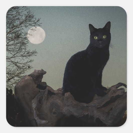 Schwarze Katze in einem Baum vor Vollmond Quadratischer Aufkleber (Vorderseite)