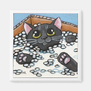 Schwarze Katze in einem Kasten Katzen-des Magneten Magnet