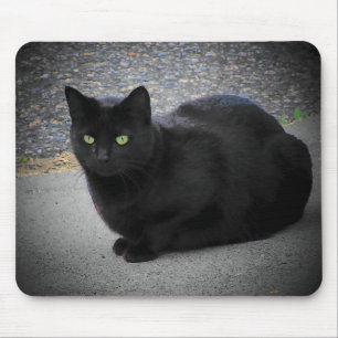 Schwarze Katze in einem Mondstrahl gefangen Mousepad