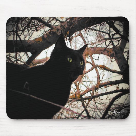 Schwarze Katze in einem unheimlichen Baum Mousepad (Vorne)