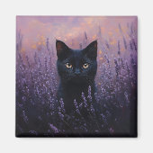 Schwarze Katze in einer Lavenderfelddarstellung Magnet (Vorne)