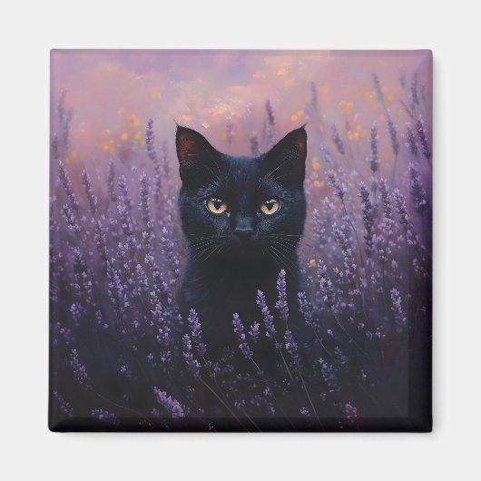 Schwarze Katze in einer Lavenderfelddarstellung Magnet (Vorne)