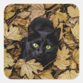 Schwarze Katze in Herbstlauben Quadratischer Aufkleber (Vorderseite)