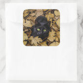 Schwarze Katze in Herbstlauben Quadratischer Aufkleber (Tasche)