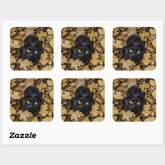 Schwarze Katze in Herbstlauben Quadratischer Aufkleber