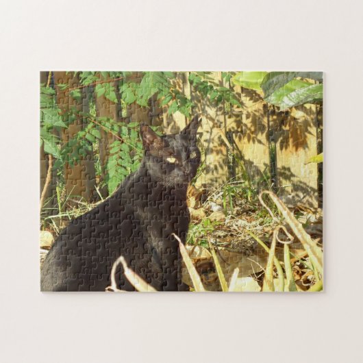 Schwarze Katze in Morgensun-Puzzlespiel Puzzle (Horizontal)