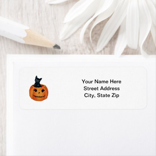 Schwarze Katze in Pumpkin (Insitu)