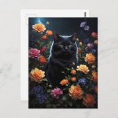 Schwarze Katze in schwarzer Nacht Postkarte (Vorne/Hinten)