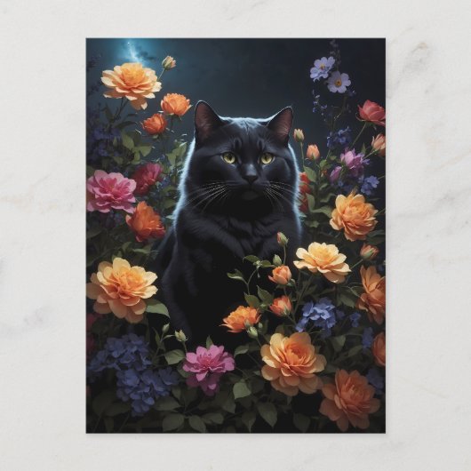 Schwarze Katze in schwarzer Nacht Postkarte (Vorderseite)