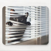 Schwarze Katze in weißen Blinds Mousepad (Vorne)
