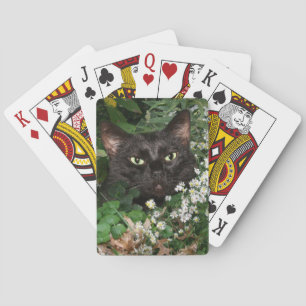 Schwarze Katze in Wildblumen Spielkarten