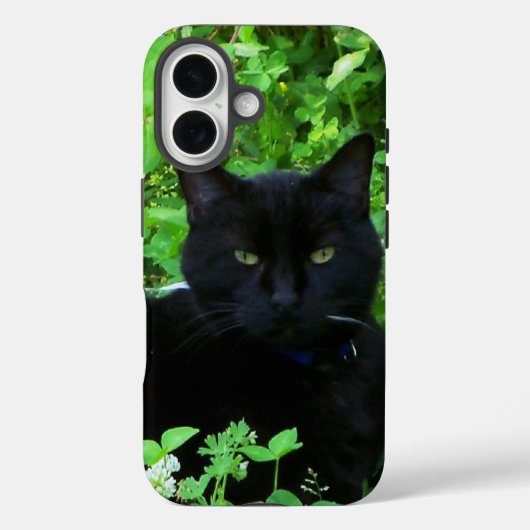 Schwarze Katze iPhone / iPad Hülle (Rückseite)