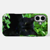 Schwarze Katze iPhone / iPad Hülle (Rückseite (Horizontal))