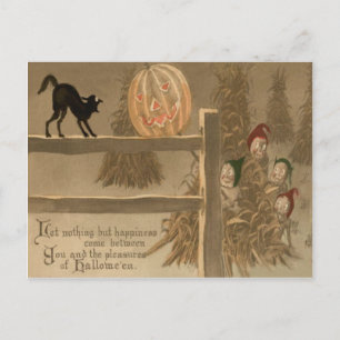 Schwarze Katze Jack O Lantern Kürbis Heuhaufen Postkarte