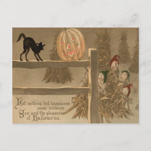 Schwarze Katze Jack O Lantern Kürbis Heuhaufen Postkarte (Vorderseite)