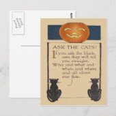 Schwarze Katze Jack O' Lantern Kürbis Postkarte (Vorne/Hinten)