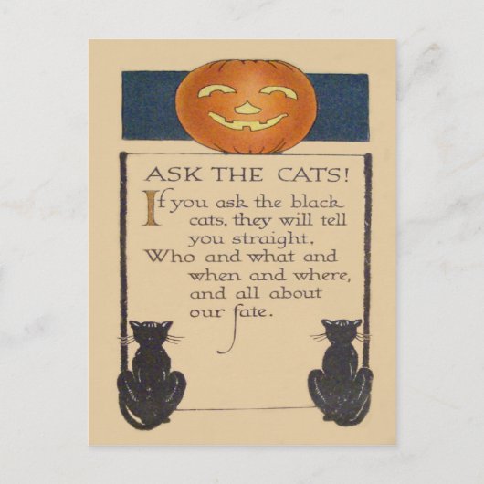 Schwarze Katze Jack O' Lantern Kürbis Postkarte (Vorderseite)