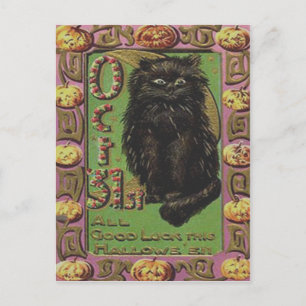 Schwarze Katze Jack O Lantern Kürbis Postkarte