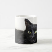 Schwarze Katze Kaffeetasse (Mittel)