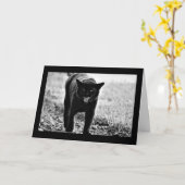 "Schwarze Katze " Karte (Gelbe Blume)
