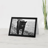 "Schwarze Katze " Karte (Vorderseite)
