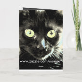 Schwarze Katze Karte (Rückseite)