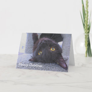 Schwarze Katze Karte