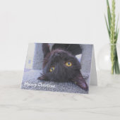 Schwarze Katze Karte (Vorderseite)